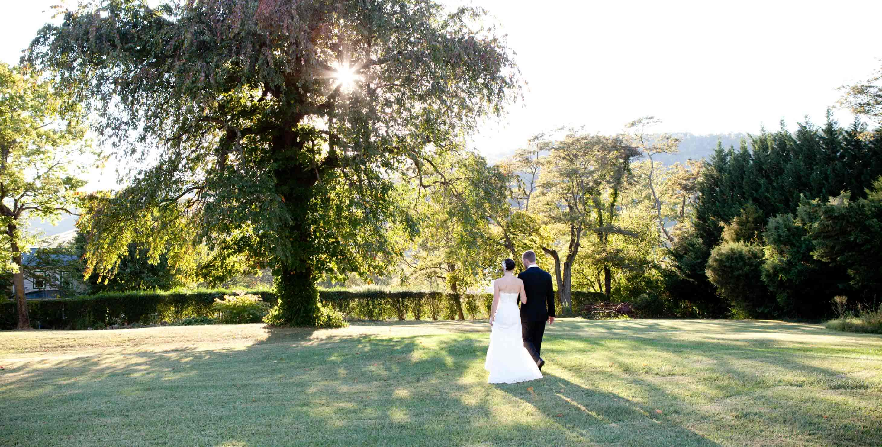 A bride and groom standing in a field near a large tree