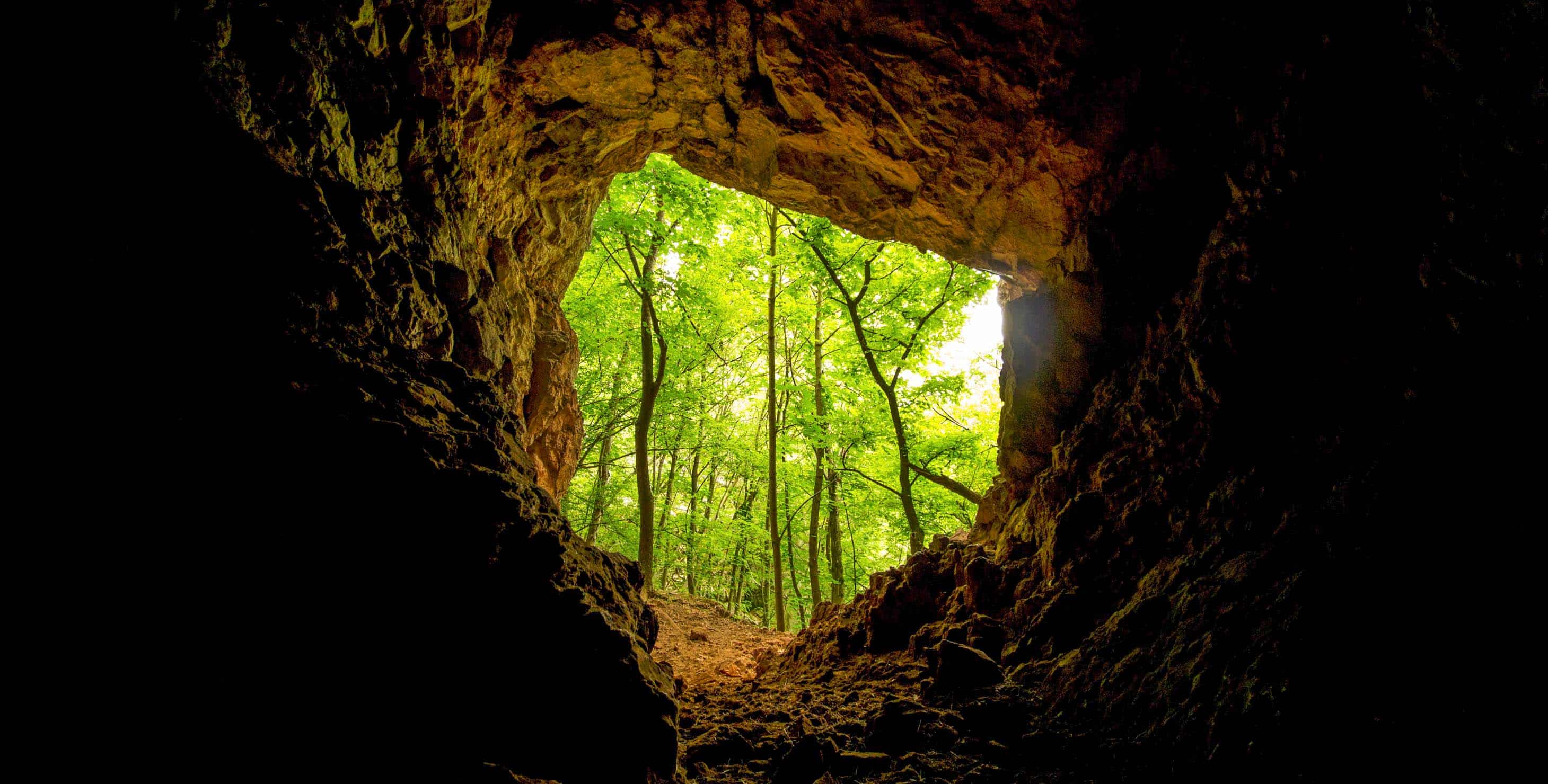 Cave exit with a bright forest