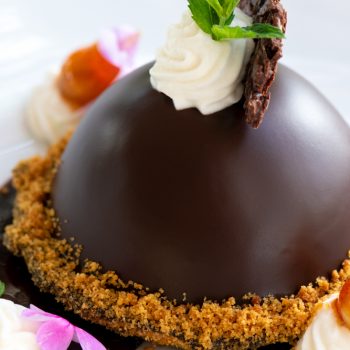 Close up of a chocolate dessert on a white plate